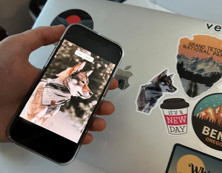 Example sticker of a cute dog